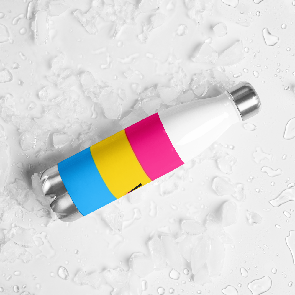 VOCE LINDX Pansexual Flag Stainless Steel Water Bottle – 500ml Insulated, Leak-Proof, BPA-Free, Gloss Finish